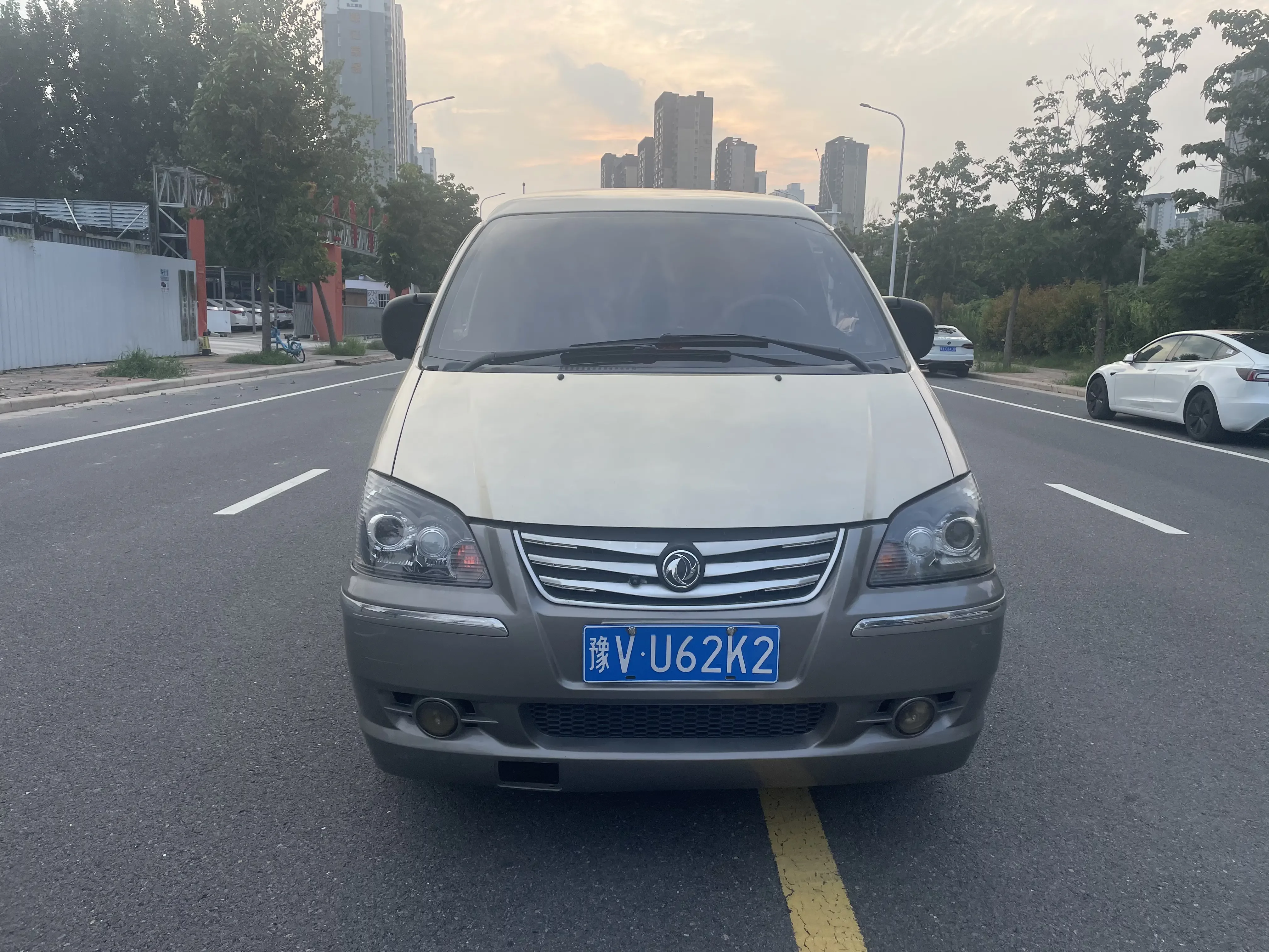Forthing Lingzhi