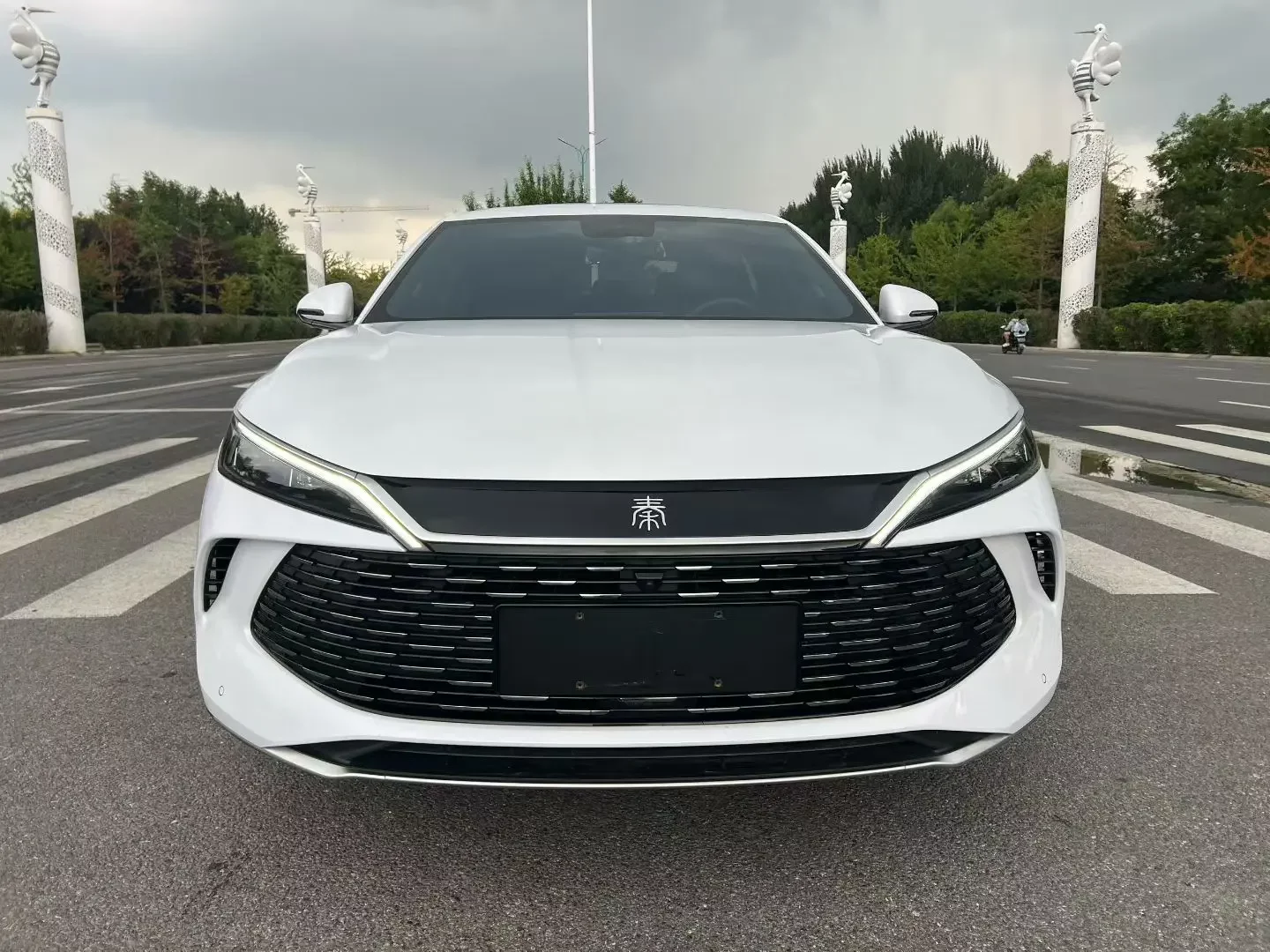 BYD Qin L DM