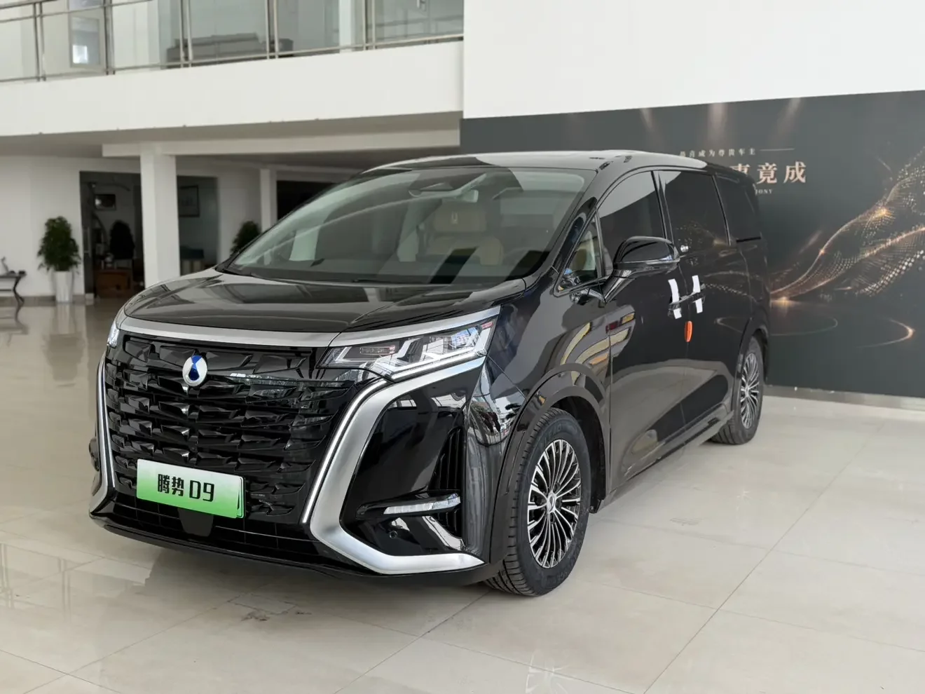Denza D9 DM