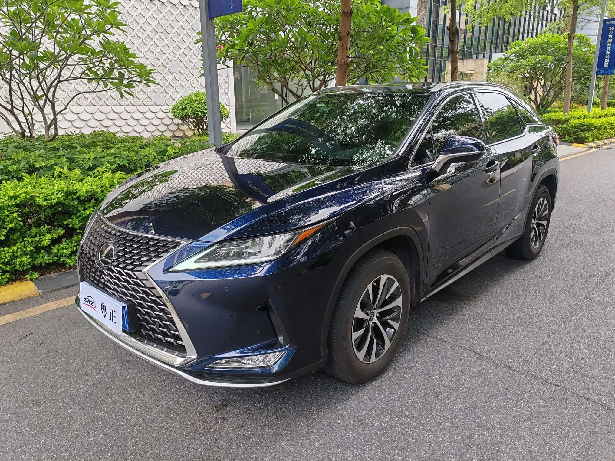 Lexus RX 2020