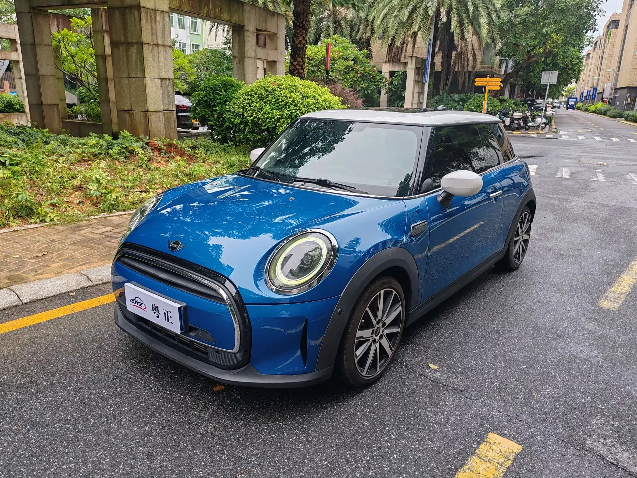 MINI MINI 2021
