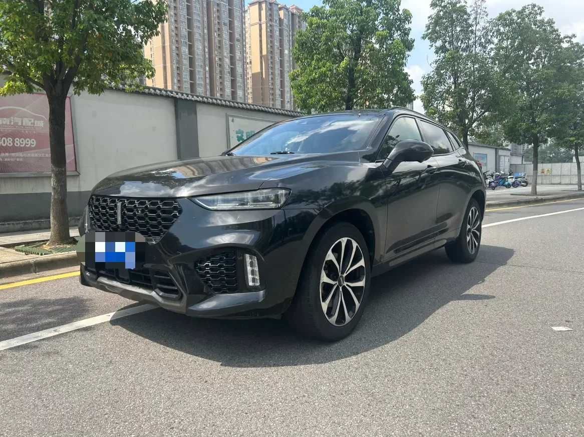 Wey Wei brand VV7