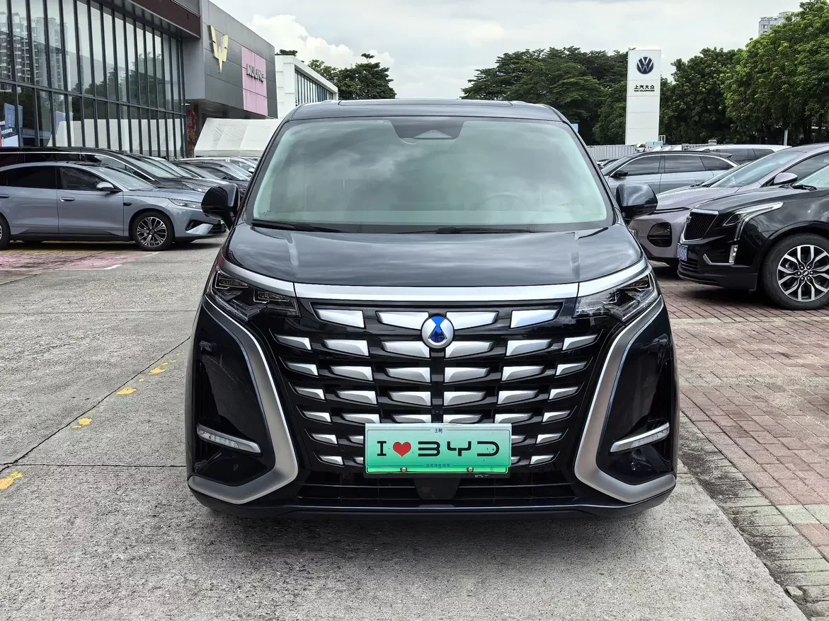 Denza D9 DM