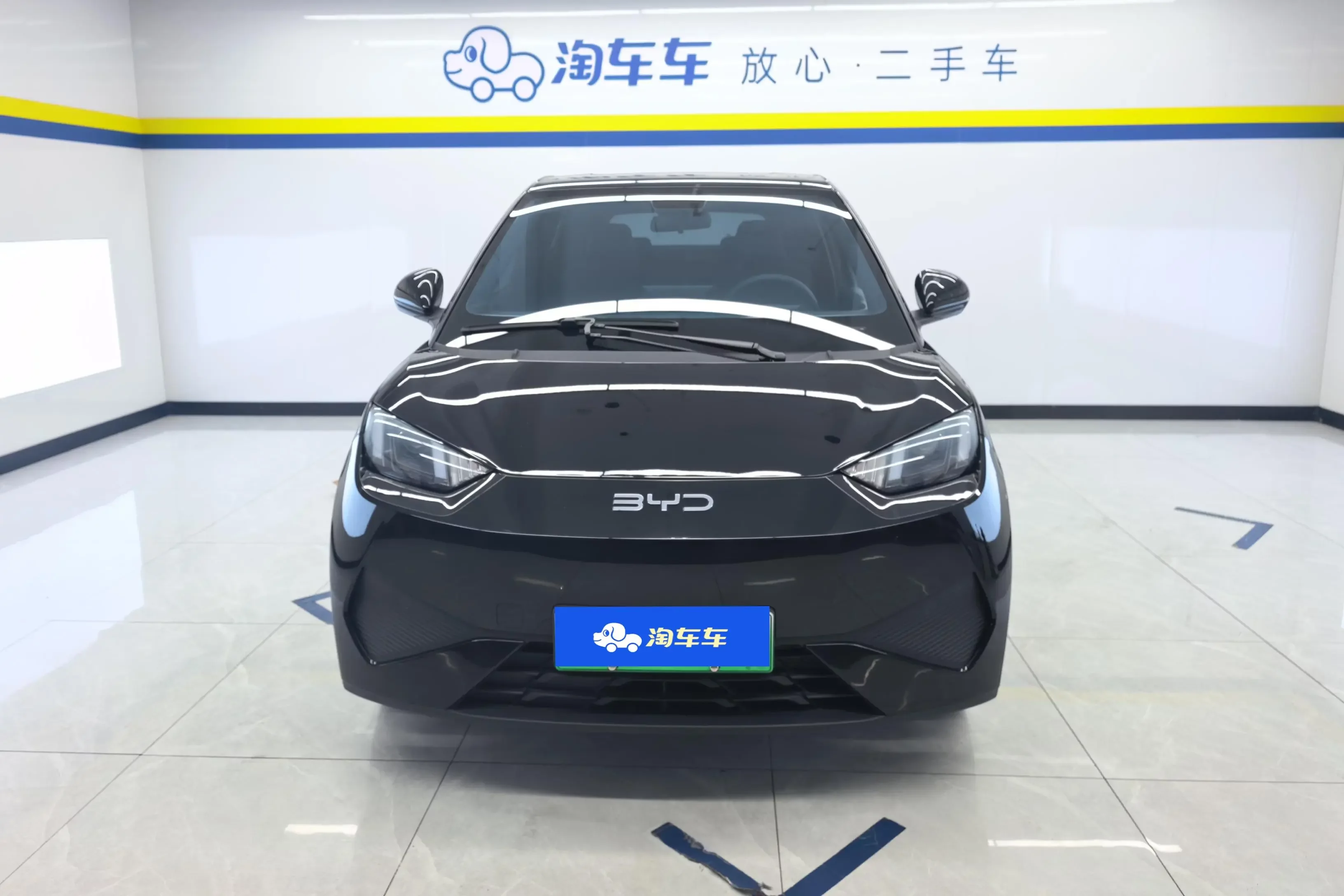 BYD seagull