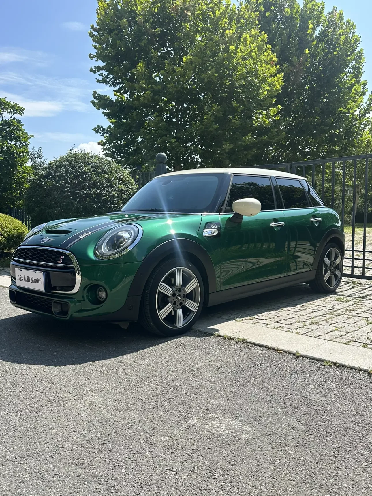 MINI MINI 2020
