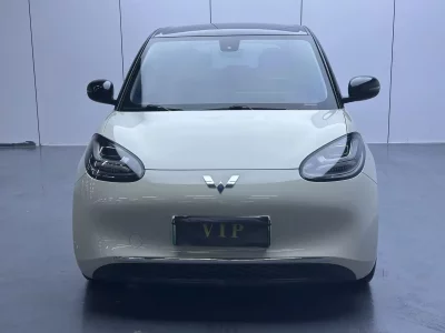 Wuling Bingo