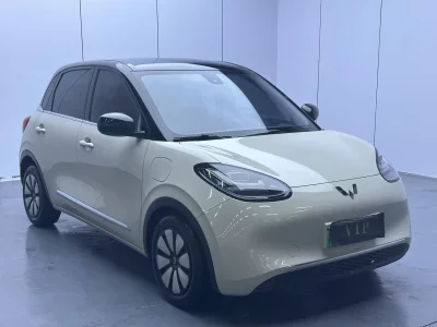 Wuling Bingo