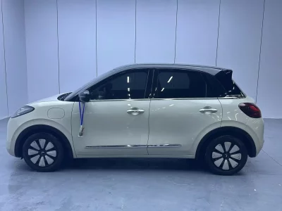 Wuling Bingo