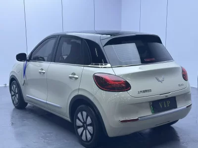 Wuling Bingo