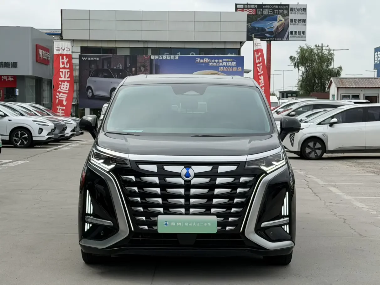 Denza D9 DM