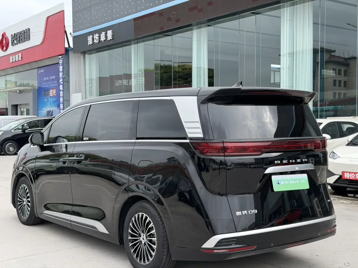 Denza D9 DM