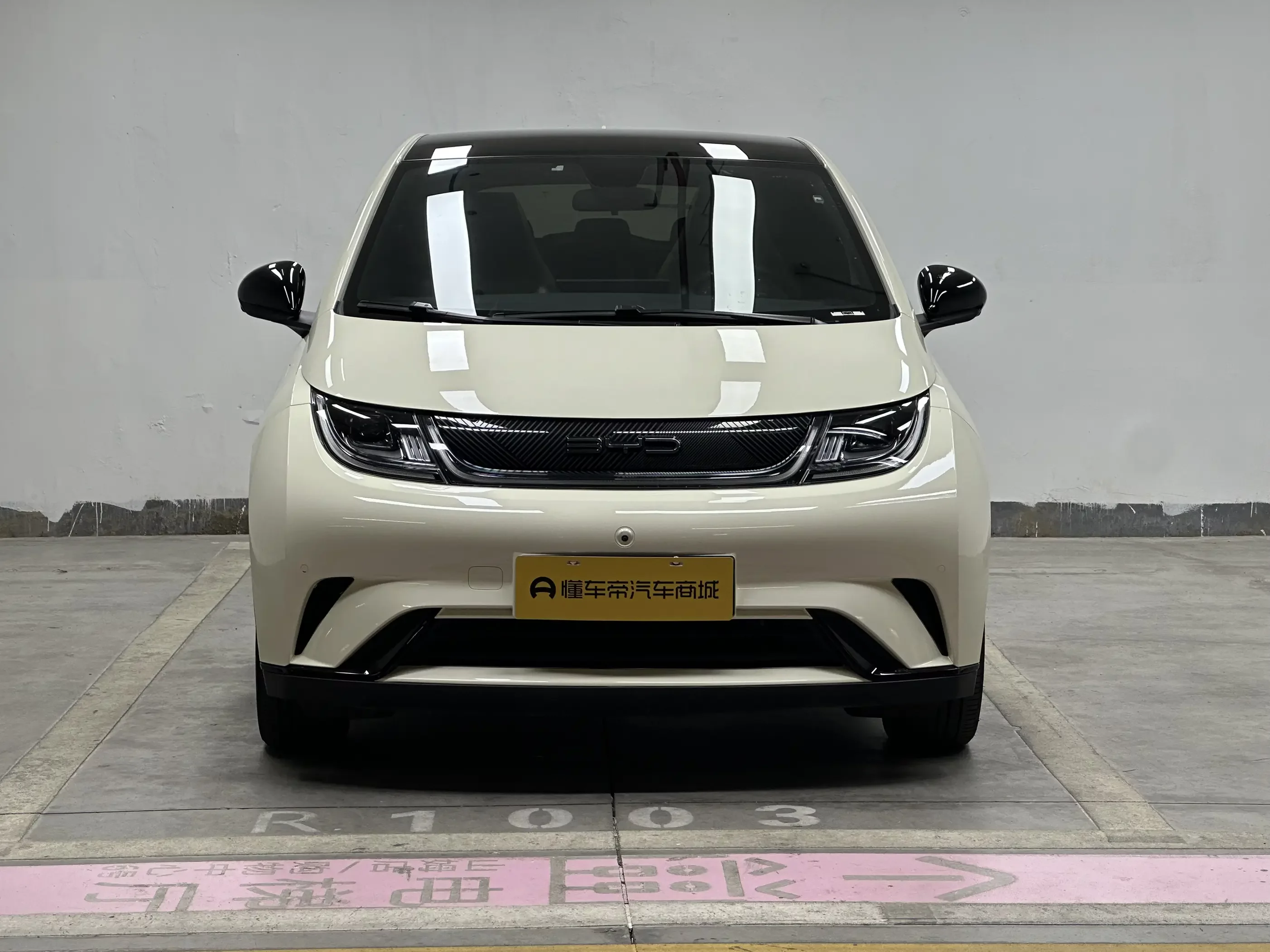 BYD dolphin