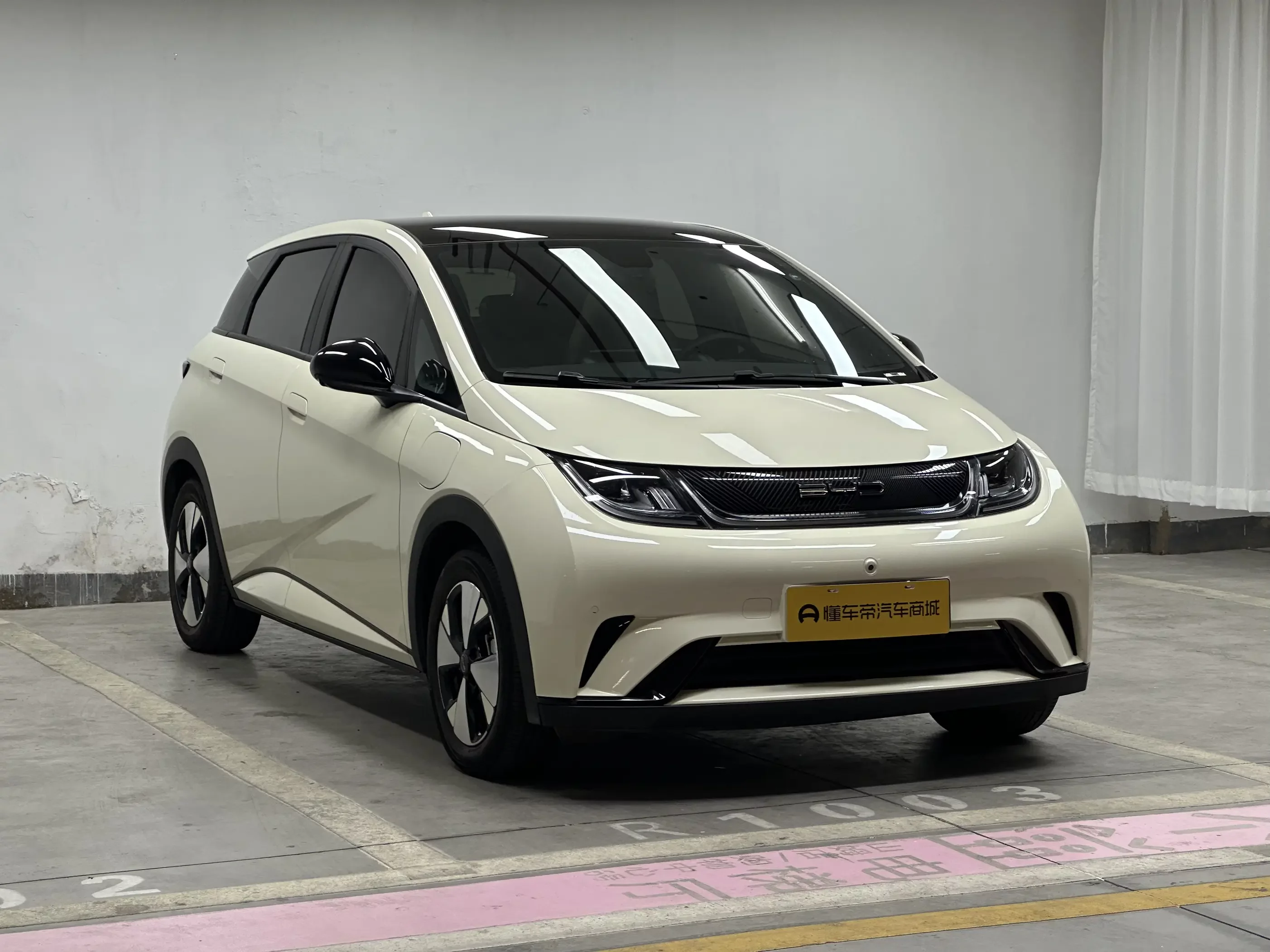BYD dolphin