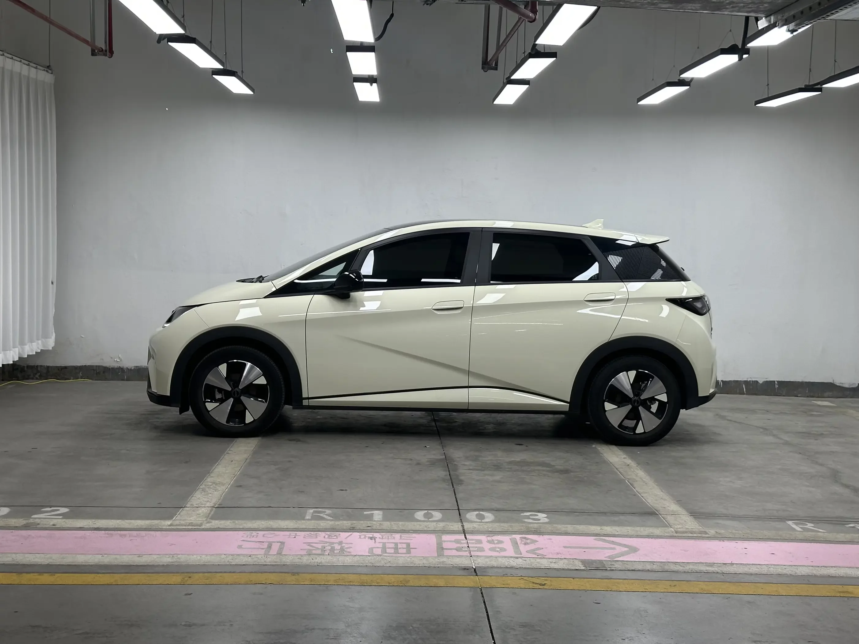 BYD dolphin