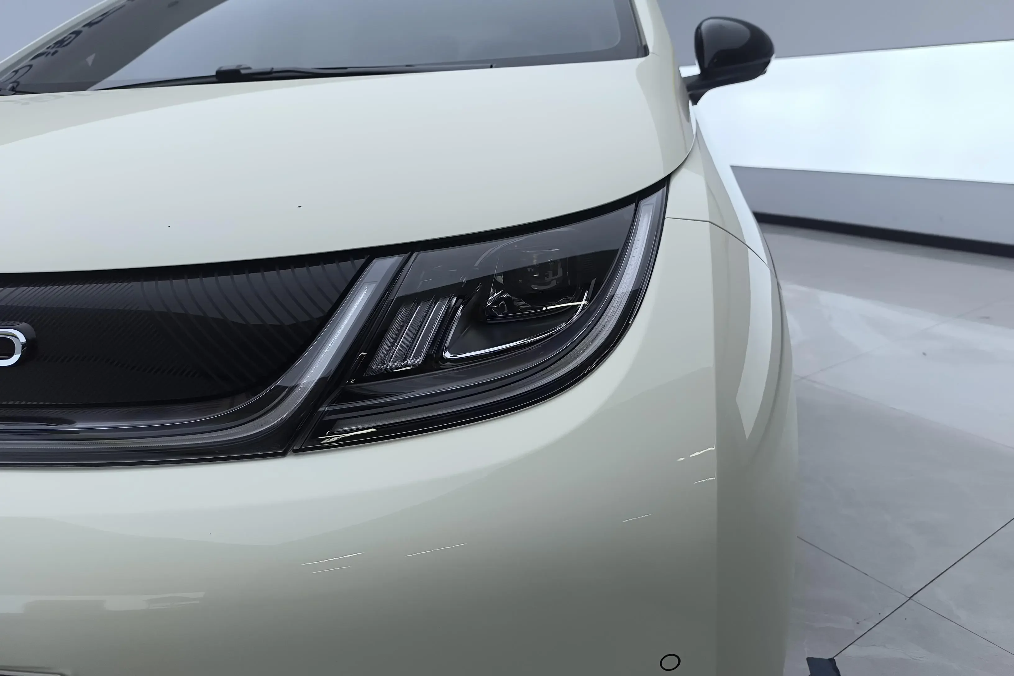 BYD dolphin