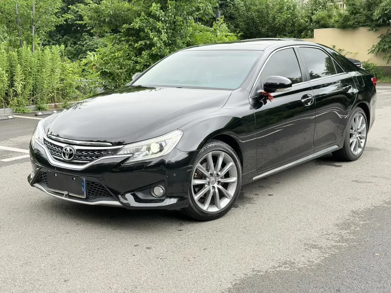Toyota Ruizhi