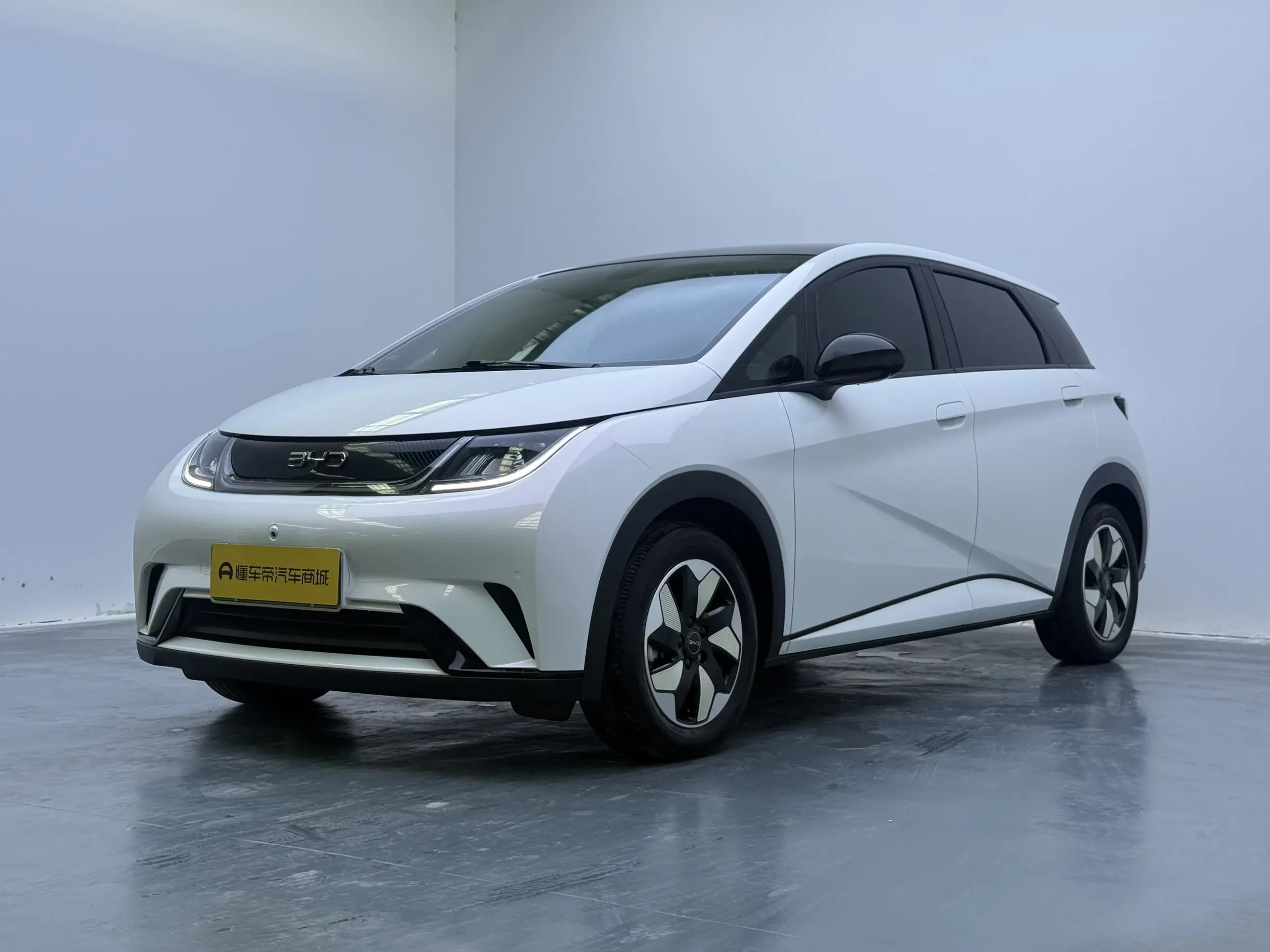 BYD dolphin