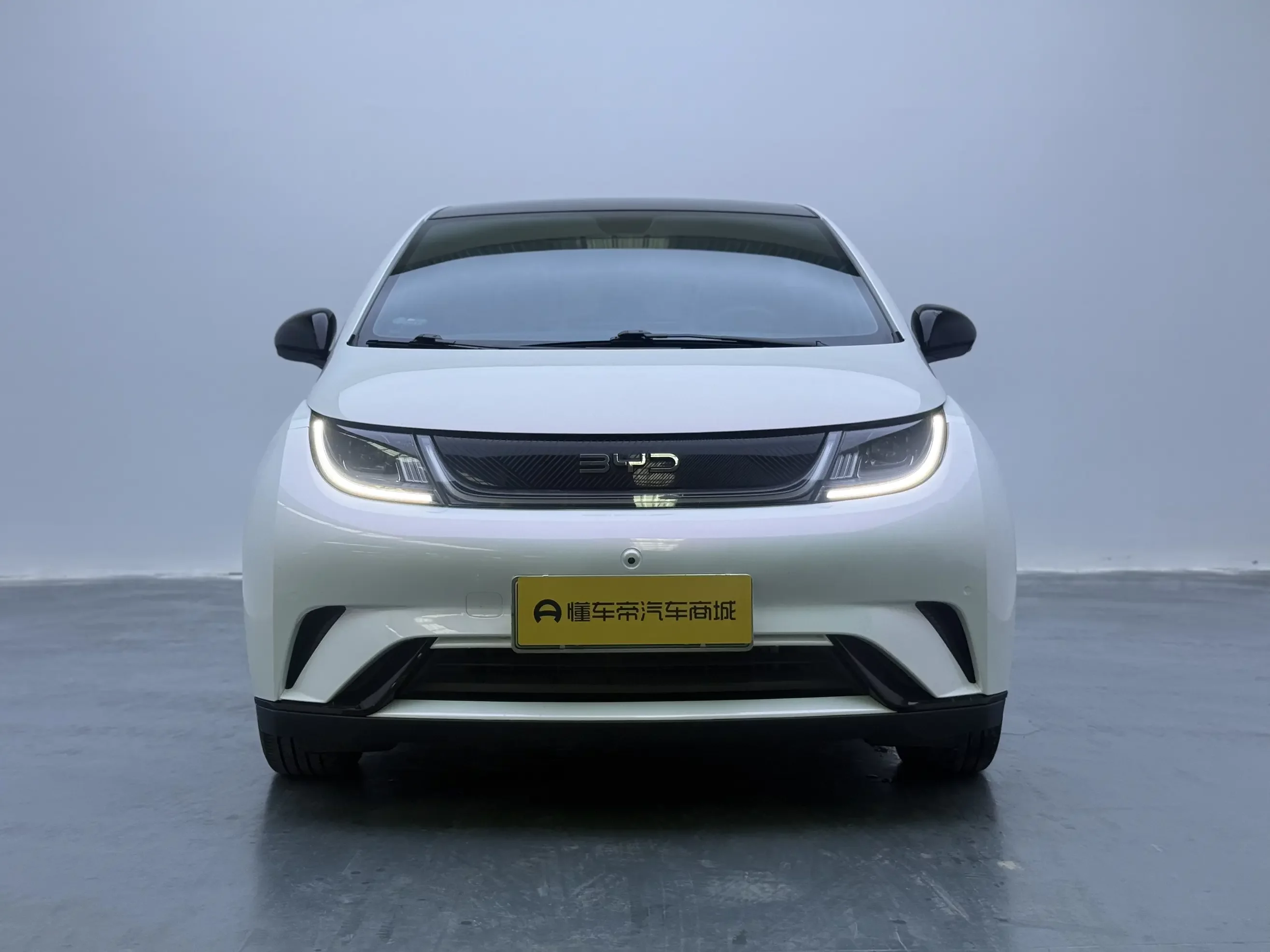 BYD dolphin