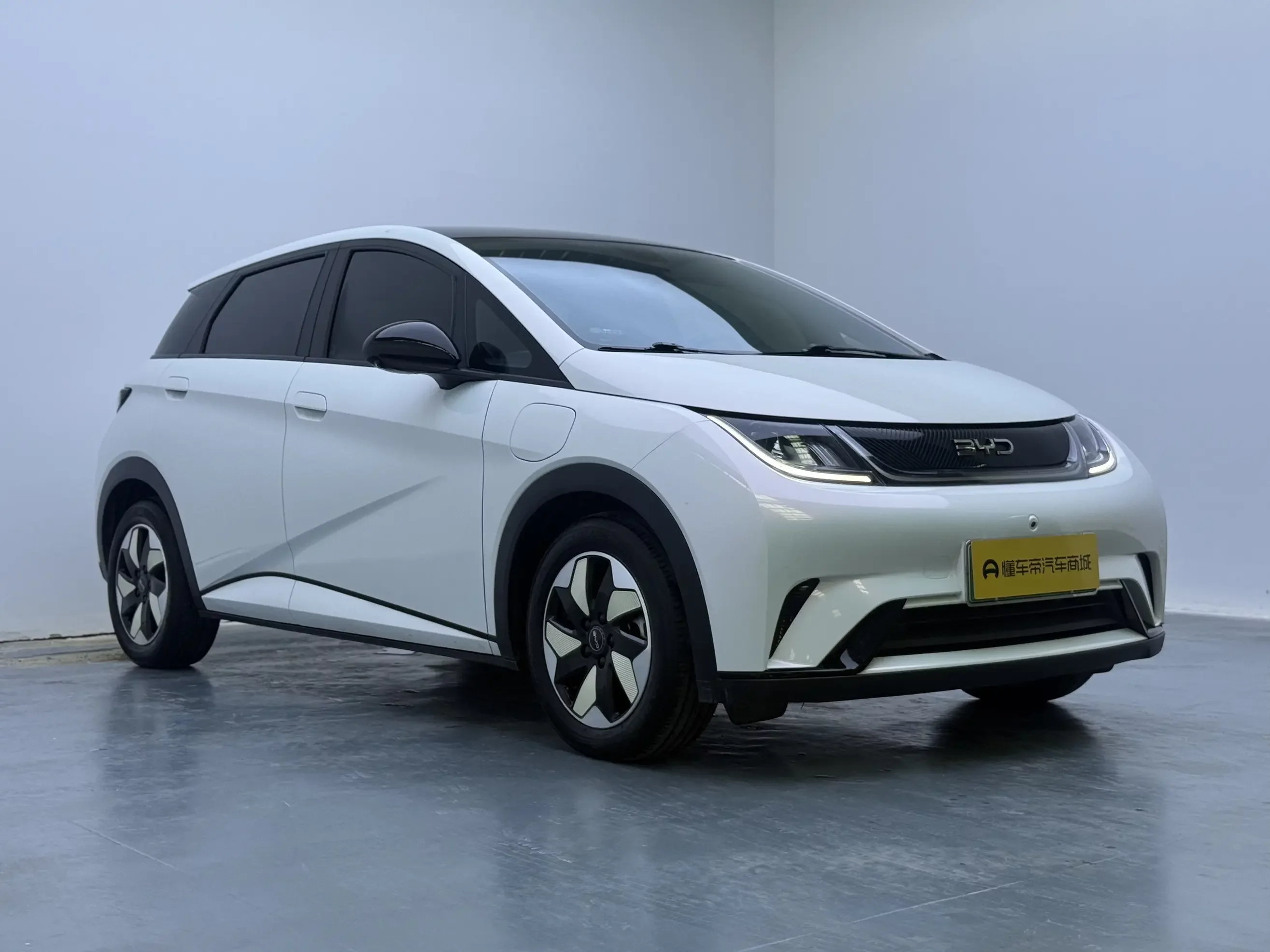 BYD dolphin
