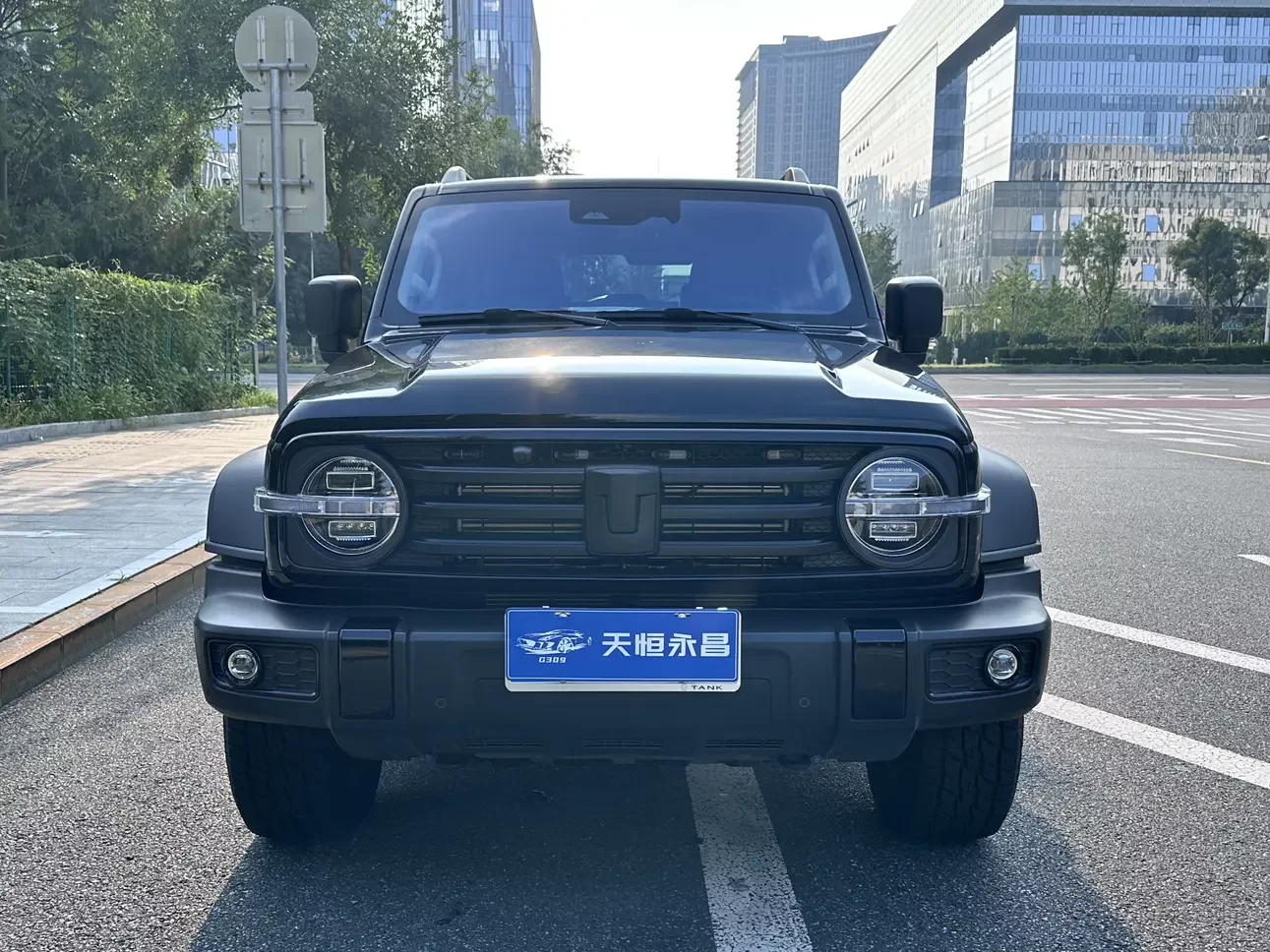 Tank 300