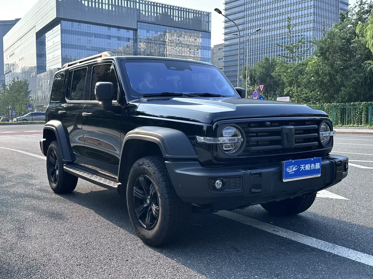 Tank 300
