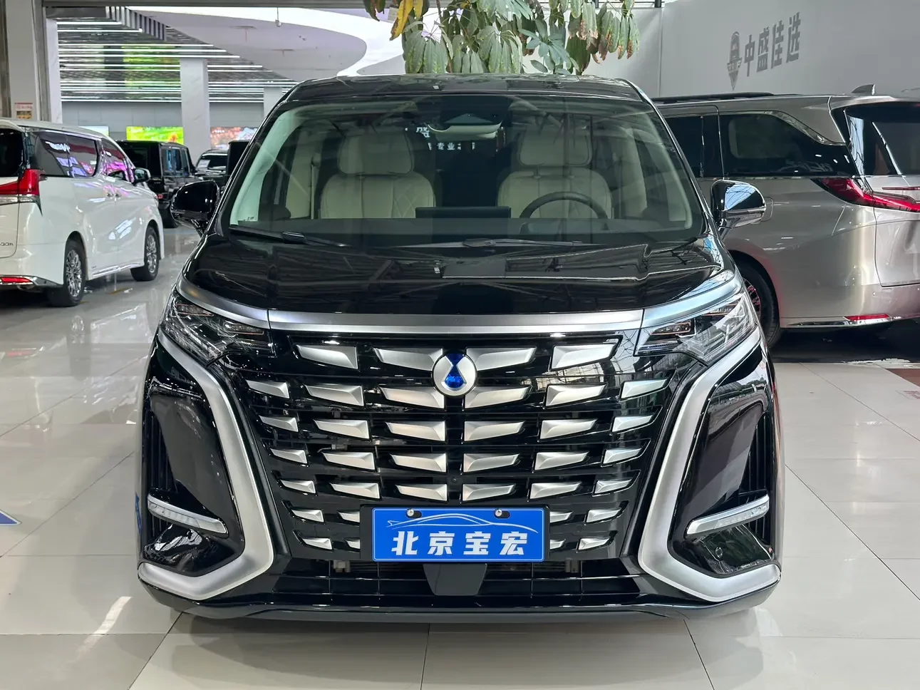 Denza D9 DM