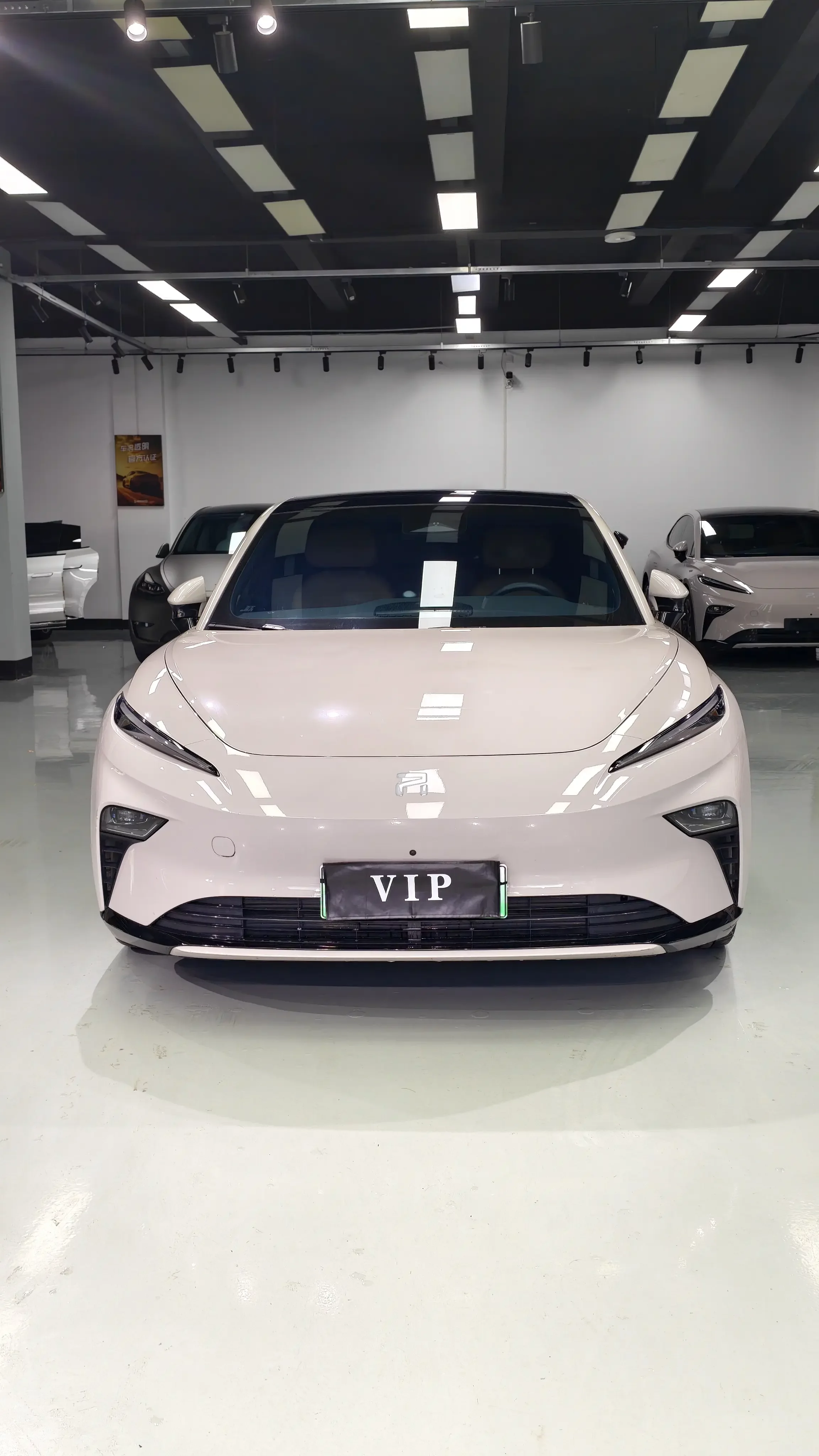 Rising Auto Feifan F7