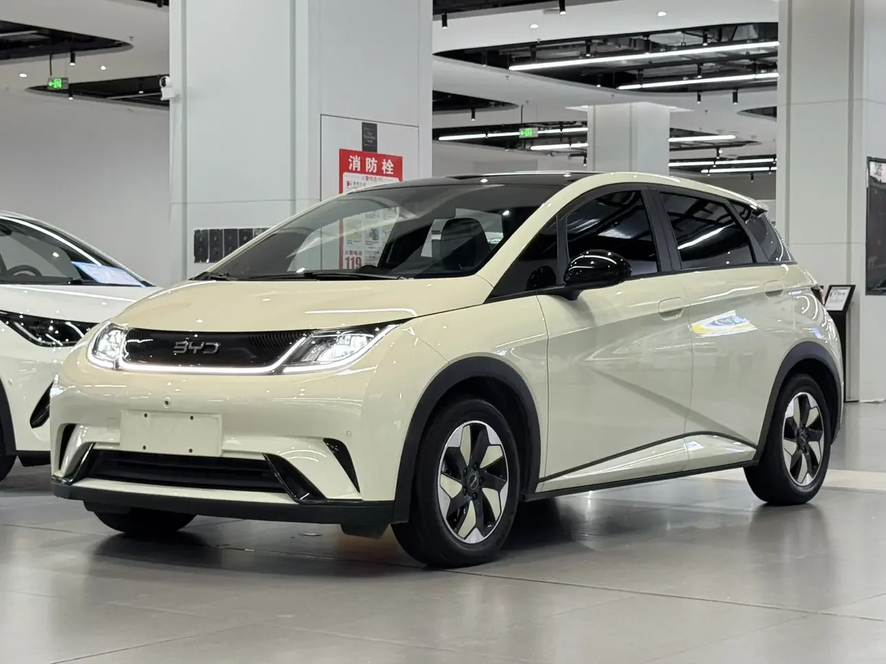 BYD dolphin 2024
