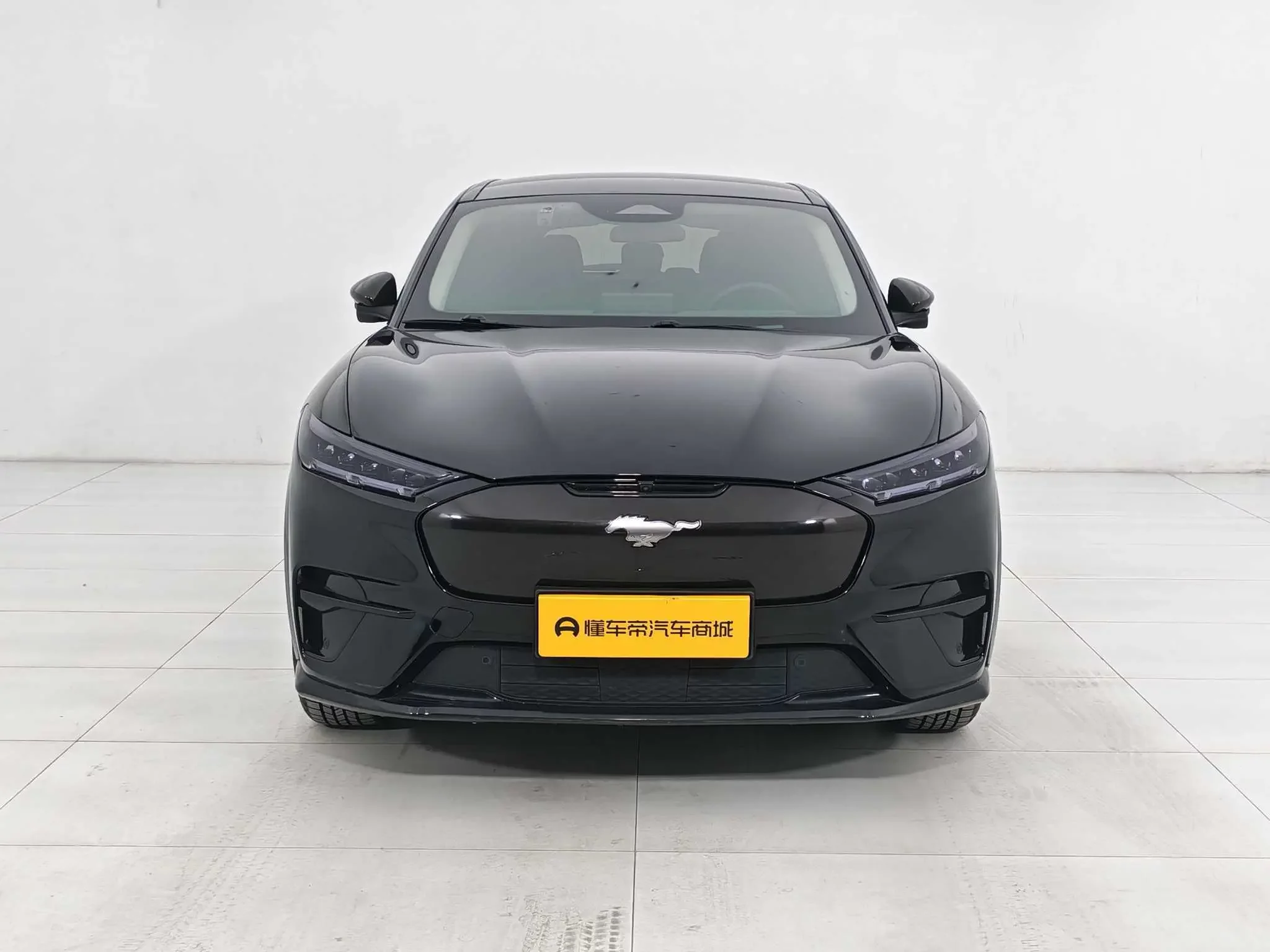 Ford electric horse  из Китая