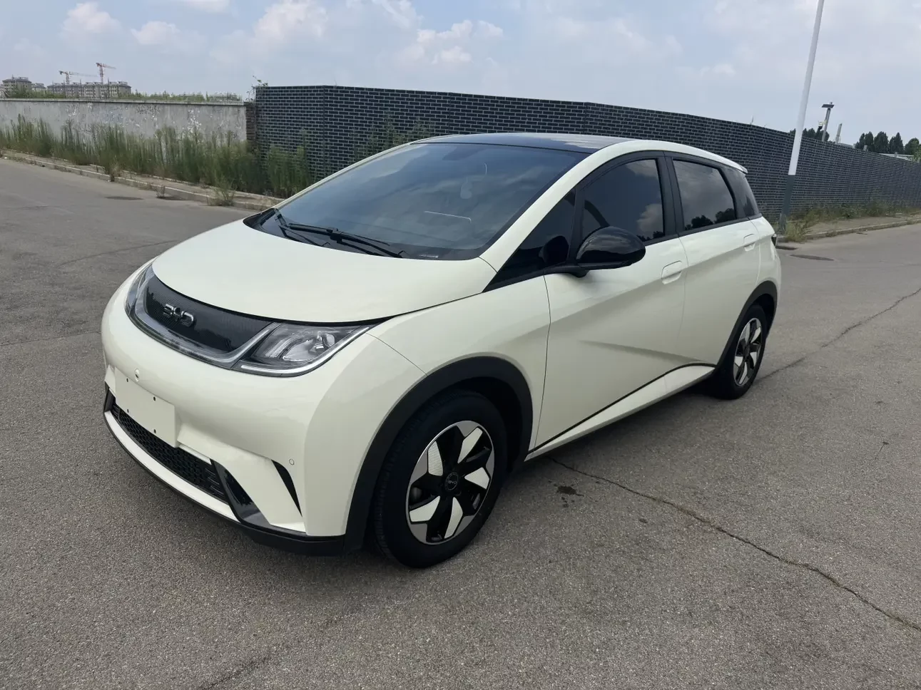 BYD dolphin