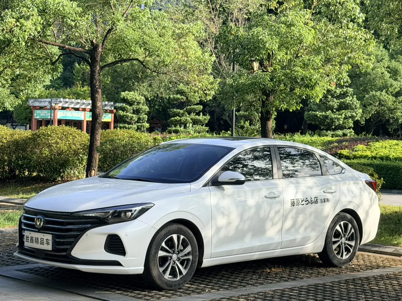 Changan Escape