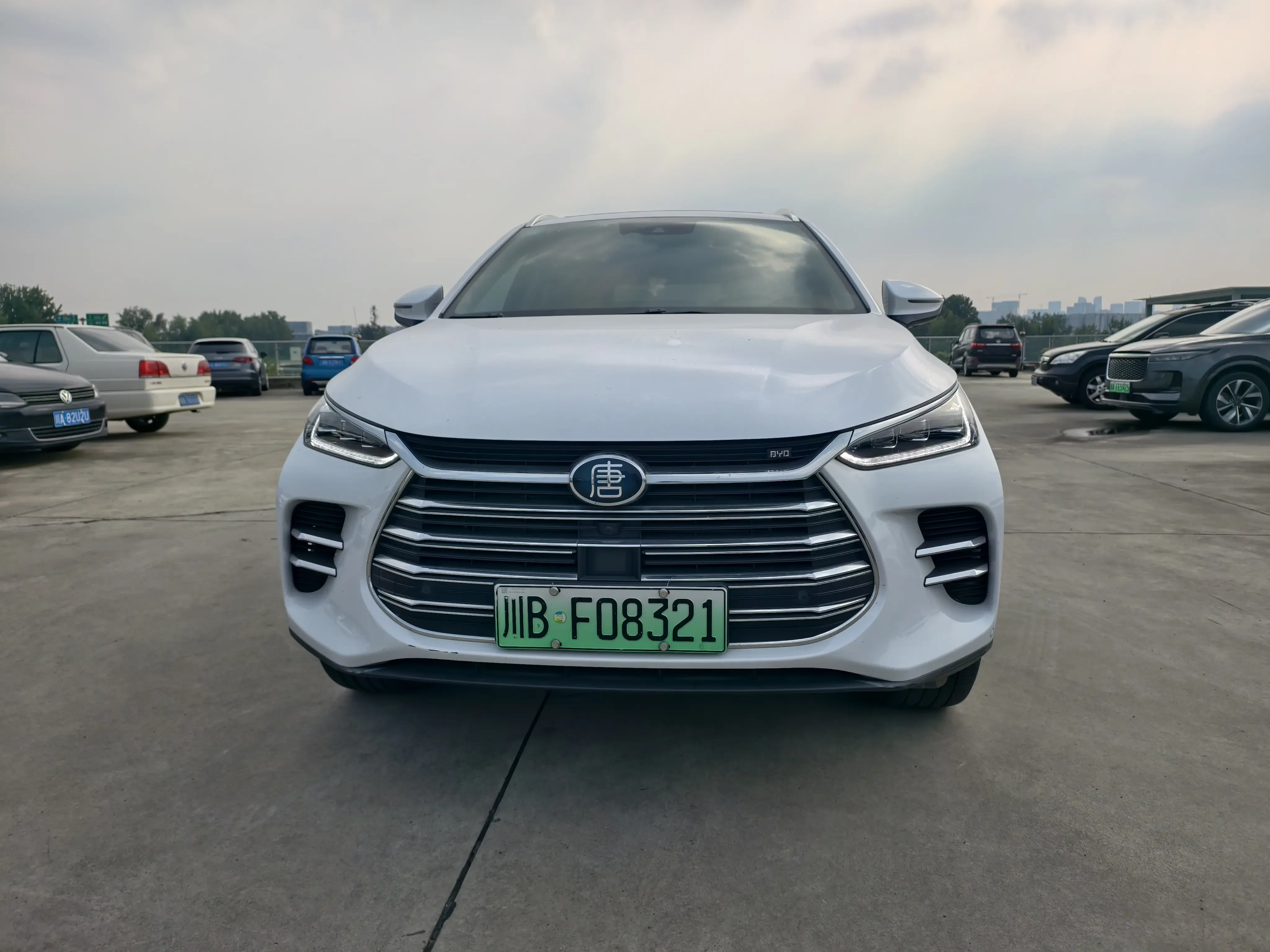 BYD Tang DM