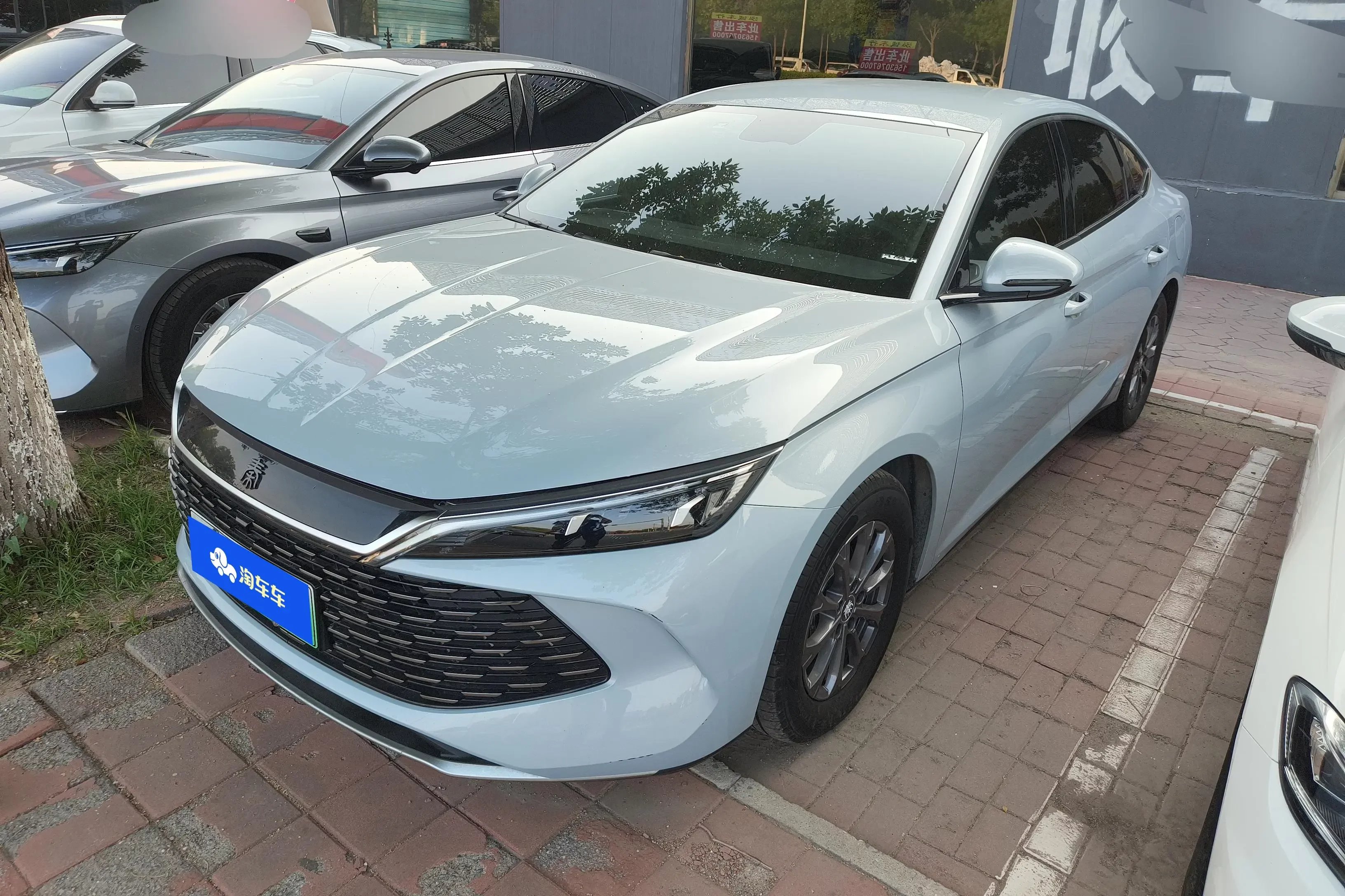 BYD Qin L DM 2024