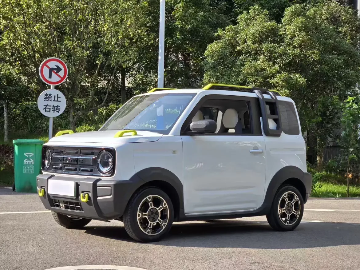 Geely panda 2024