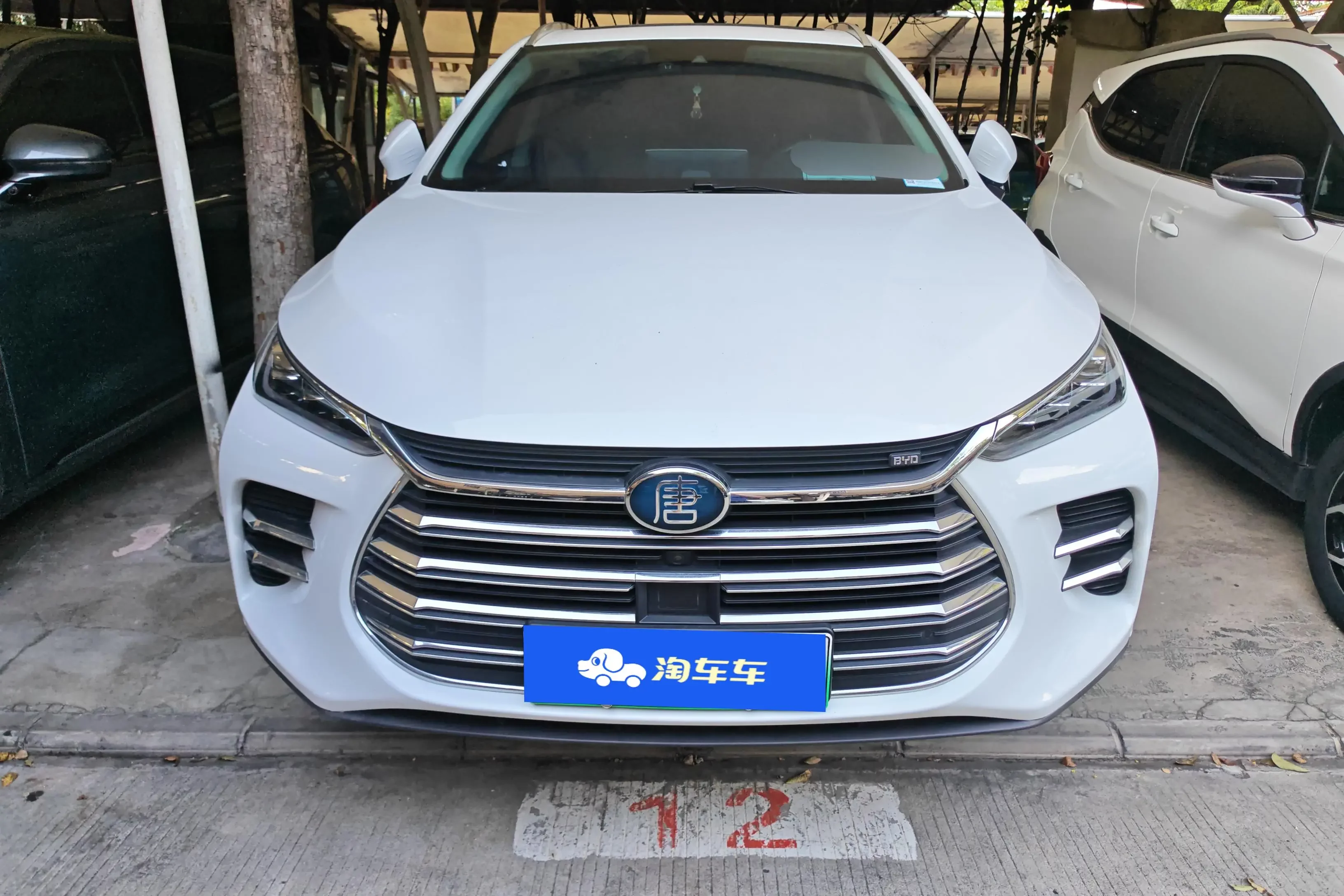 BYD Tang DM