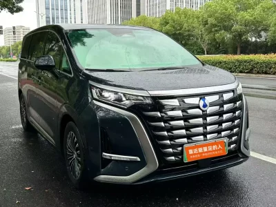 Denza D9 DM