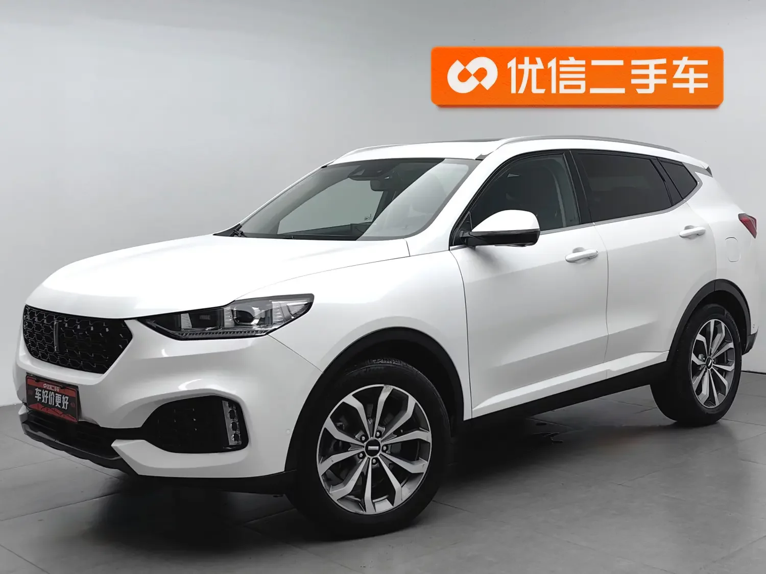Wey Wei brand VV6