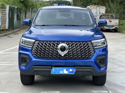 Great Wall Poer (gun)