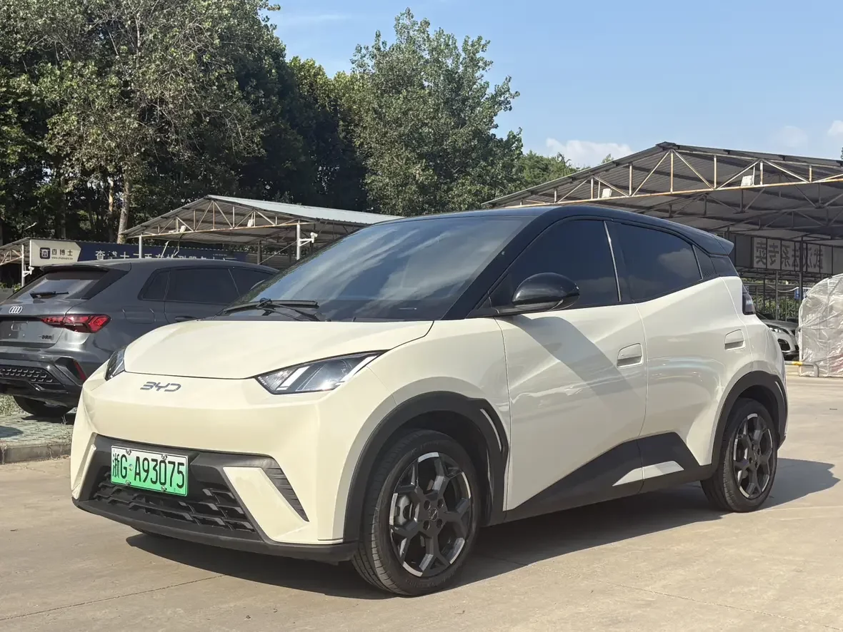 BYD seagull