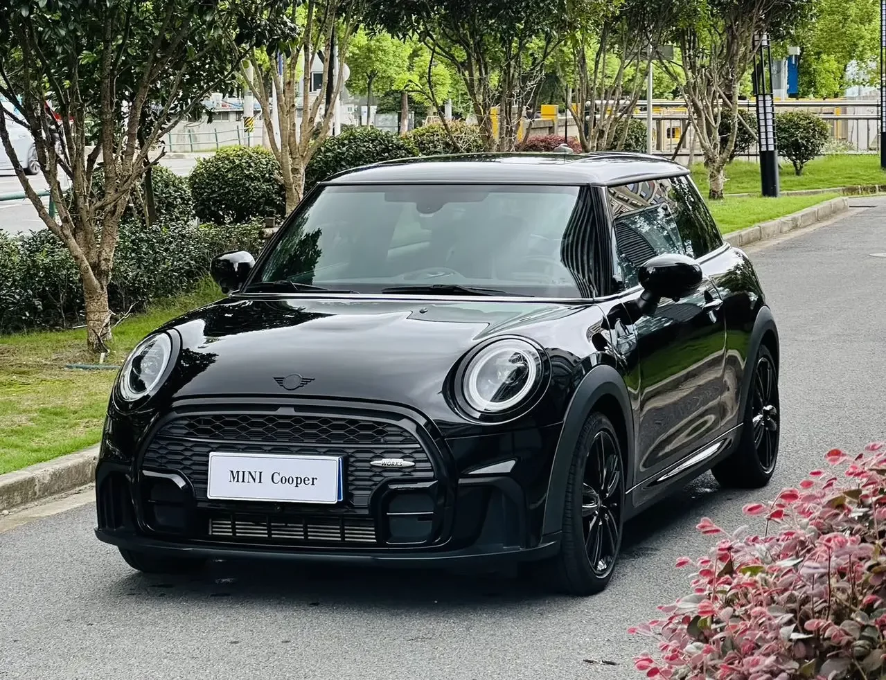 MINI MINI 2022