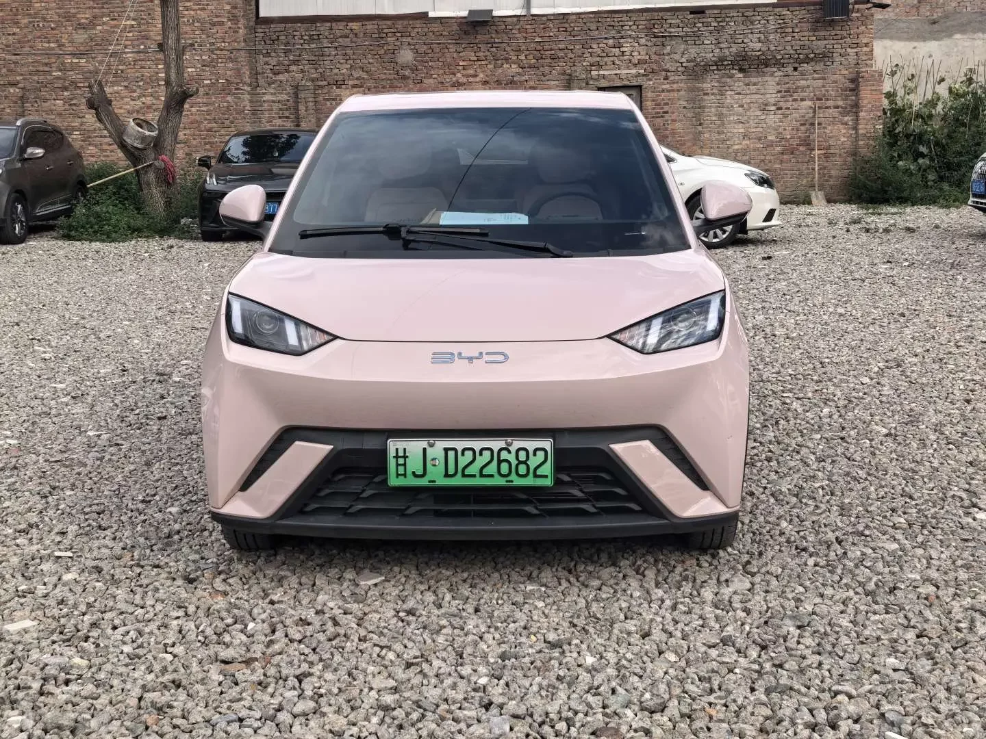 BYD seagull