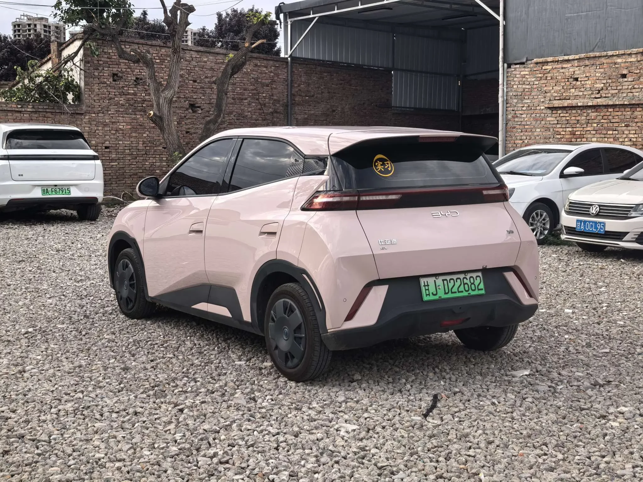 BYD seagull
