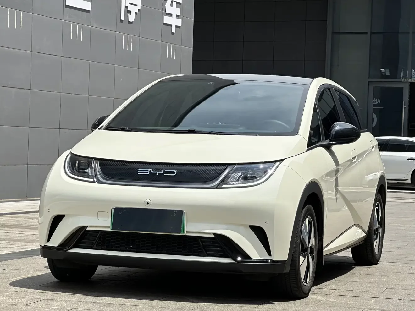 BYD dolphin