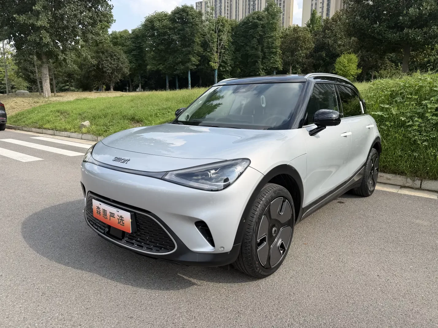 Smart elf #1  из Китая