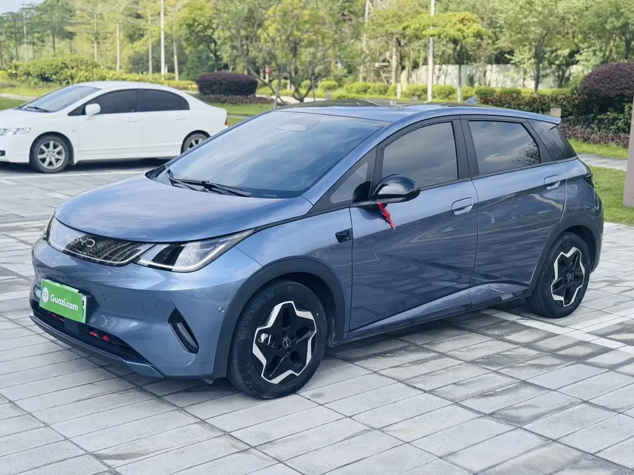 BYD dolphin