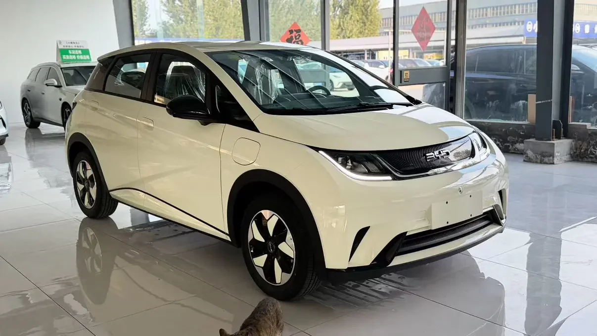 BYD dolphin