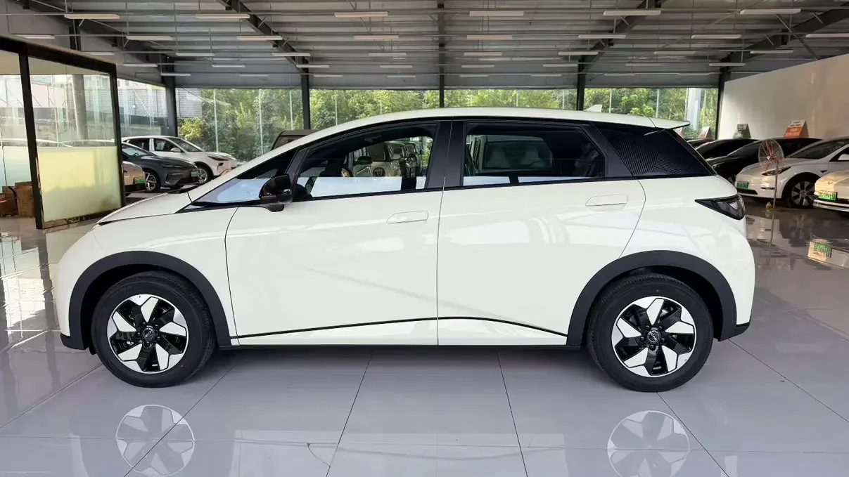 BYD dolphin