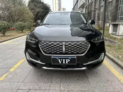 Wey Wei brand VV6
