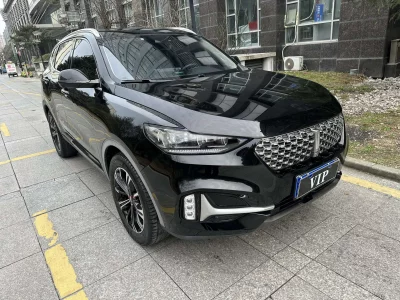 Wey Wei brand VV6