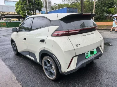 BYD Seagull